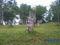 palatokke-tana-toraja-08