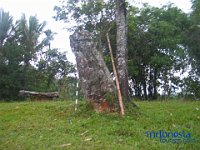 palatokke-tana-toraja-10