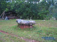palatokke-tana-toraja-12