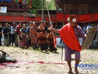 rambu-solo-tana-toraja-25