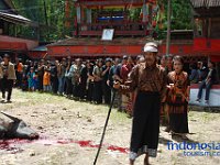 rambu-solo-tana-toraja-27