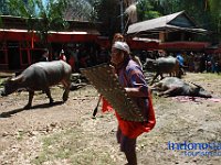 rambu-solo-tana-toraja-28