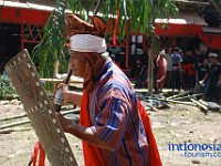 rambu-solo-tana-toraja-30