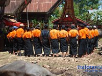 rambu-solo-tana-toraja-35