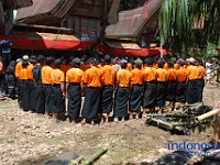 rambu-solo-tana-toraja-37