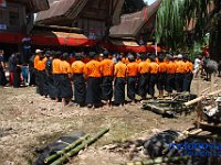 rambu-solo-tana-toraja-38