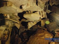 rambu-solo-tana-toraja-66