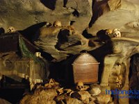 rambu-solo-tana-toraja-67