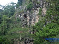 rambu-solo-tana-toraja-78