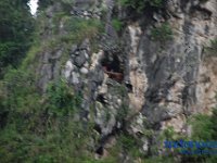 rambu-solo-tana-toraja-81