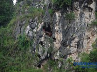 rambu-solo-tana-toraja-82