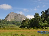 silanan-tana-toraja-03