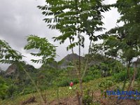tocempa-tana-toraja-03