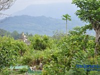 tocempa-tana-toraja-12
