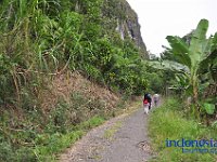 tocempa-tana-toraja-14