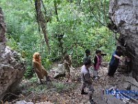 tocempa-tana-toraja-19