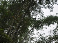 tocempa-tana-toraja-32