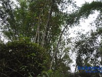 tocempa-tana-toraja-33