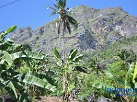 tontonan-tana-toraja-02