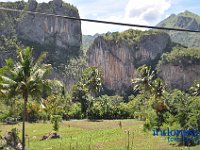 tontonan-tana-toraja-10