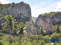 tontonan-tana-toraja-11