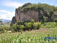 tontonan-tana-toraja-12