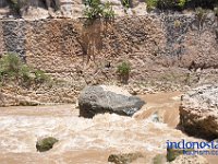 tontonan-tana-toraja-43
