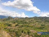 tontonan-tana-toraja-56