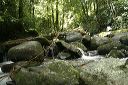 Air Manitis Hulu, Central Borneo - Indonesia.JPG