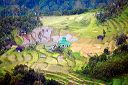 Mosque Around The Paddy Field, West Sumatra - Indonesia.jpg