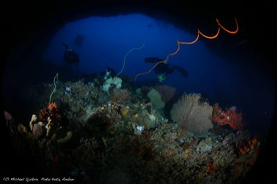 ambon-underwater-2-_1c83890.jpg