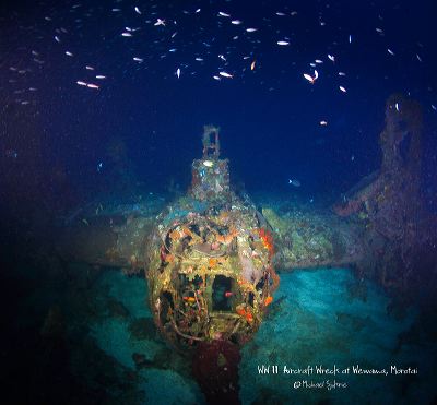 diving_at_morotai_i_1c83950.jpg