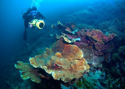 hari_island__southe_1c83975.jpg
