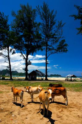 sabang__we_island___1c839d3.jpg