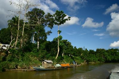 tumbang_samba__cent_1c838e1.jpg